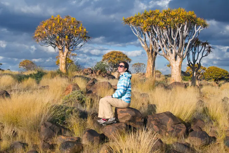 Namibia during the day