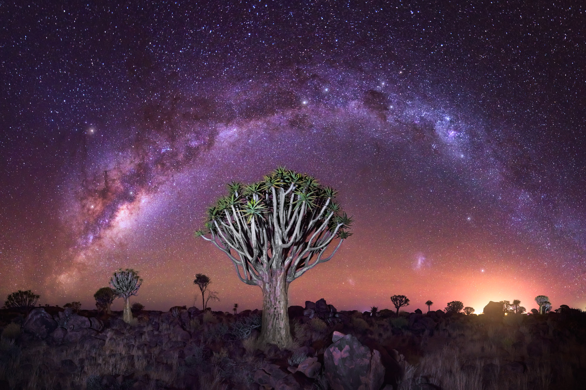 Stars over Namibia